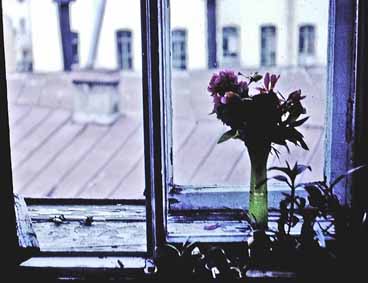 Август 1978. Снимок ЮГ. Вид из окна коммуналки по адресу ул. Воинова 7-20 